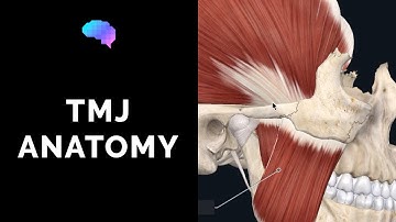 Temporomandibular Joint (TMJ) Anatomy | 3D Anatomy Tutorial | UKMLA | CPSA | PLAB 2
