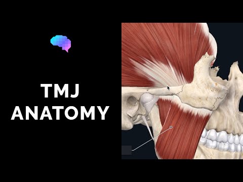 Temporomandibular Joint (TMJ) Anatomy (3D Anatomy Tutorial)