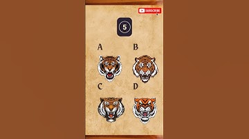 Intuition test🤯😍 #intuitiontest #testyourskills #braingames