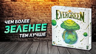 Обзор игры Evergreen. Зелёный мир