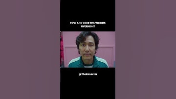 When Google drops a new algorithm update… and your traffic dies overnight