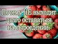 Сыроедение. Почему не выходит долго оставаться на сыроедении. Важно!