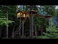 The Best Way to Build a Treehouse The Best Way to Build a Treehouse