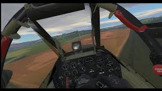 Dobs Live Stream