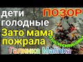 Колесниковы /Позор/Дети голодные, зато мама пожрала /Обзор Влогов /