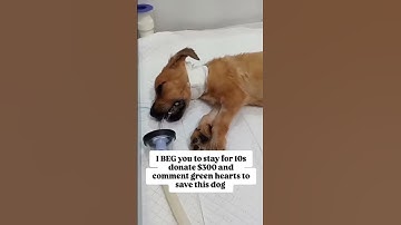 AL DONATIONS ARE ACCEPTED THROUGH PAYPAL LINK IN THE BIO PLEASE CONSIDER DONATING ANY AMOUNT TO HELP