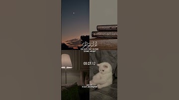 {وماظلمناهم ولكن كانوا هم الظالمين} #سورة_الزخرف القارئ ياسر الدوسري 🌱🤎 #قرآن