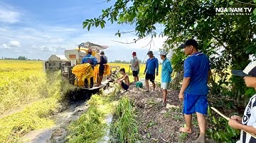 Săn Bắt Chuột Bắt Cá Theo Máy Cắt Cao Thủ Bắt Rắn Và Cái Kết Nhớ Đời 😄P.2/NGÃ NĂM T