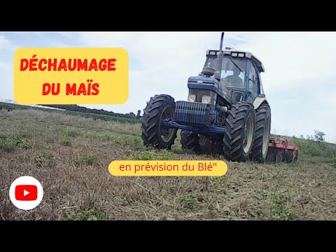 Déchaumage du maïs