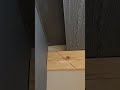 floor molding with a 45 degree angle. #woodworking #ideas #wood #diy #woodwork #carpentry #tips