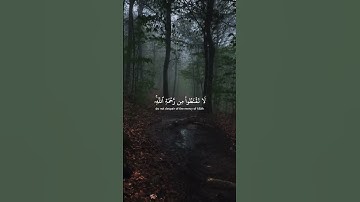 #قران_كريم #تلاوة_خاشعة #اكسبلور #لايك #holyquran #المصحف #الرحمن #اسلام #ياسر_الدوسري