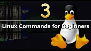 Mastering Linux Commands Tutorial 3: System Monitoring, Networking & Package Management