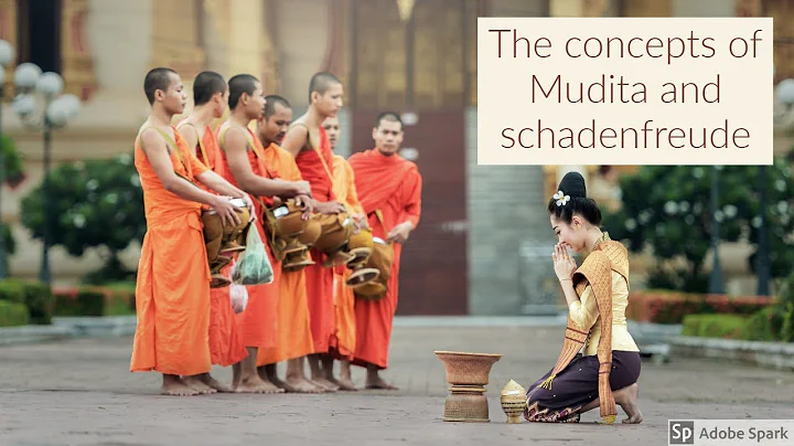 The concepts of Mudita and schadenfreude