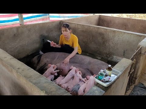 Видео: Майката инжектира изпражнения в капковата система на болния си син. Истината се разкри благодарение на мониторинга