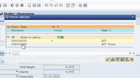 Class 8 SAP Sales and Distribution Basic functions