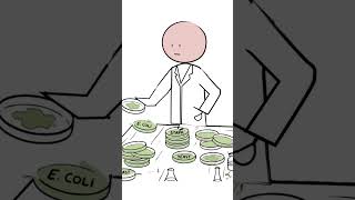 How Penicillin Was Accidentally Invented...