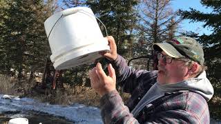 Feeder Pails