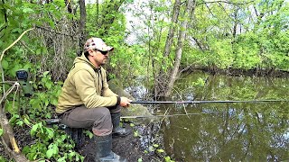 Заліз в Затоплені Хащі. Що Клює у Травні на Поплавець