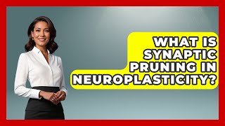 What Is Synaptic Pruning In Neuroplasticity? - Brain Development Hub