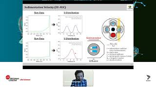A paradigm shift: AUC as a multi-attribute platform method in targeted protein degradation