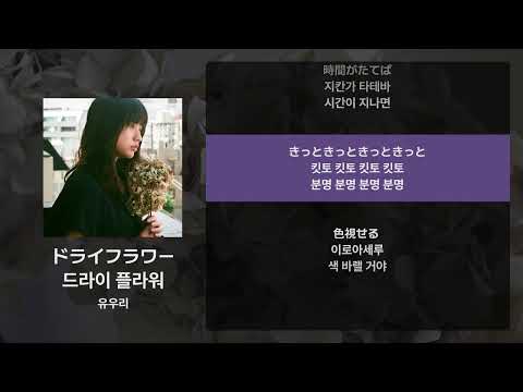 유우리 - 드라이 플라워(ドライフラワー) [가사/발음/해석]