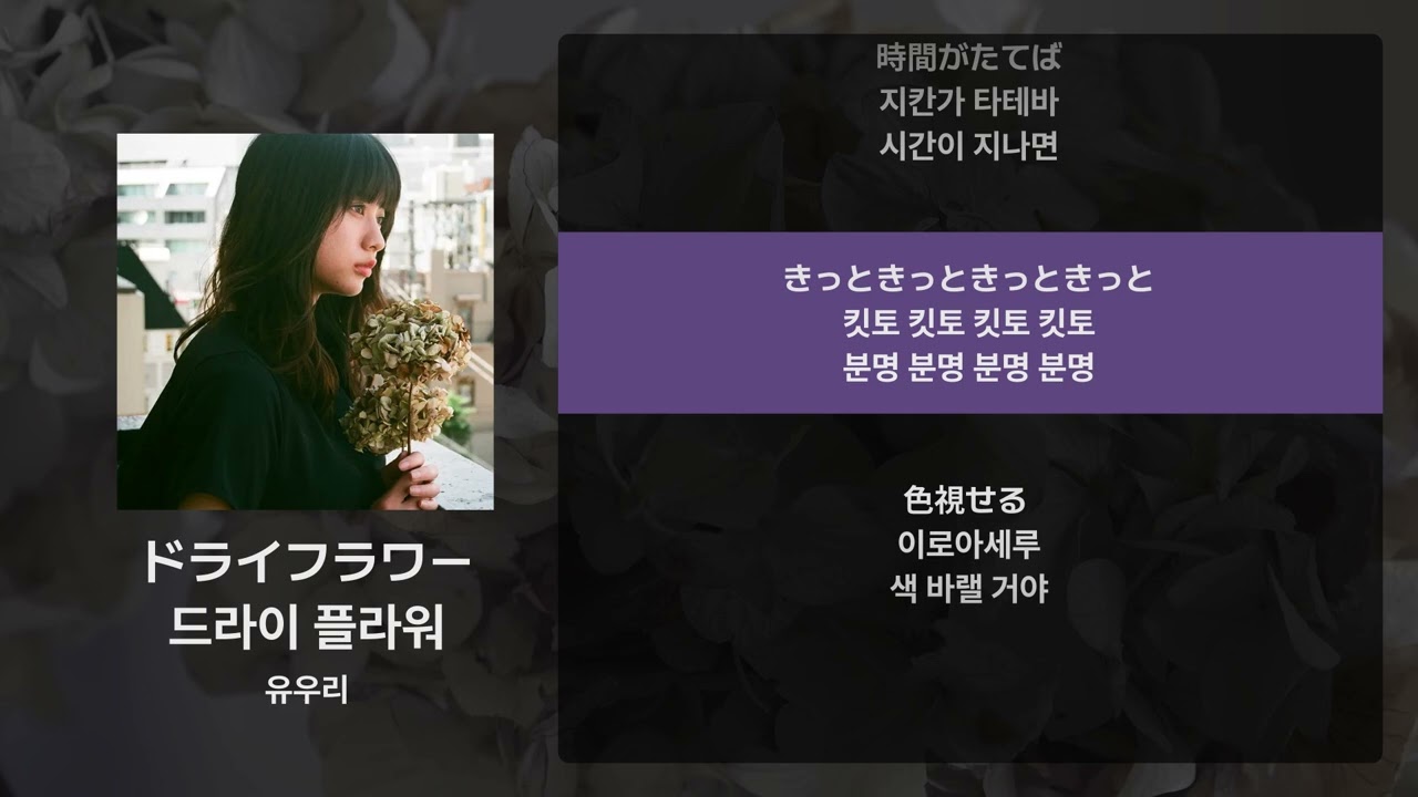 유우리 - 드라이 플라워(ドライフラワー) [가사/발음/해석]
