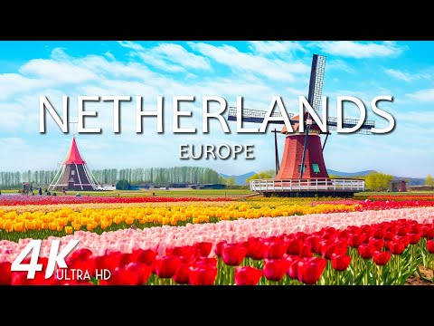 NETHERLANDS Soothing Music With Beautiful Nature Film For Stress Relief
