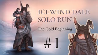 Icewind Dale Solo Run: Session 1! The cold beginning