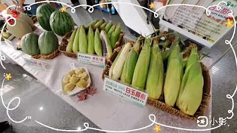 12 月 2 日(星期六)共同举办“2023 食农教育暨农畜联合开放日及第 27 届种苗节活动”~台南区农业改良场 (台南市新化区牧场 70 号) - 天天要闻