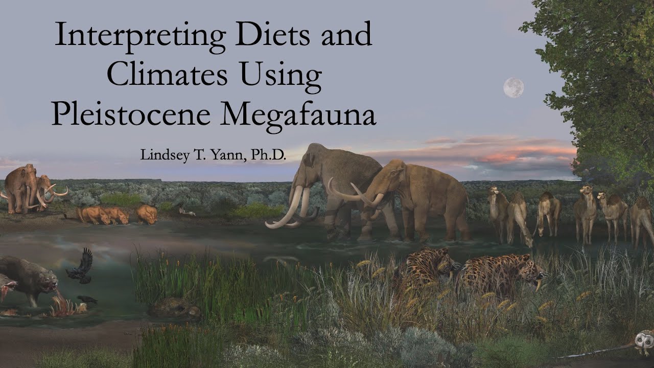 Interpreting Diets and Climates Using Pleistocene Megafauna - YouTube