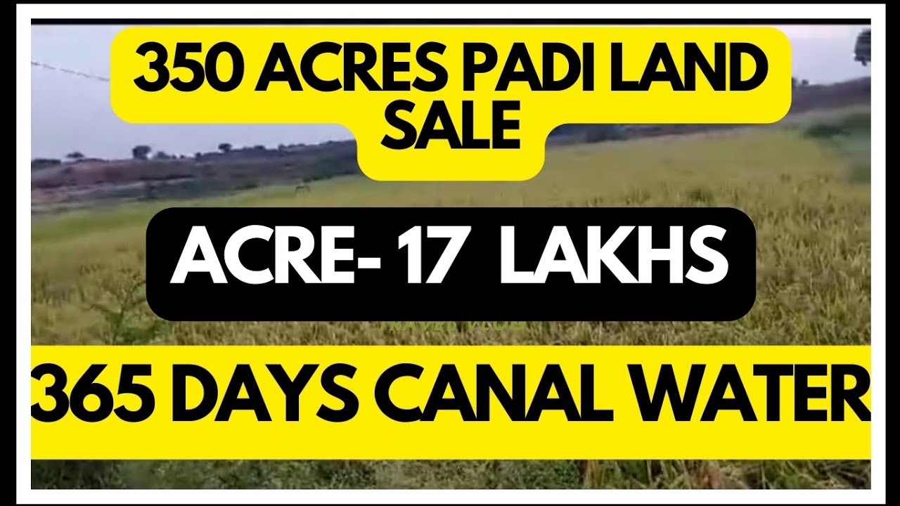 350 Acres padi land sale sindhanur -13 km  Karnataka state Acre- 17 lakhs 365 days canal💧 water