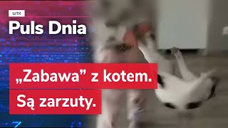 „Zabawa” z kotem. Są zarzuty.