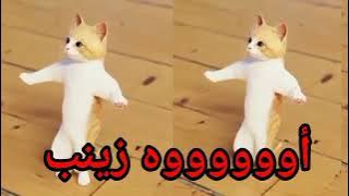 #اغنية#زينب#الحلوة#عيد_ميلاد#زينب#اول_تعليق#السعودية#الكويت#العراق#قطر#الجزائر#تركيا#دبي#جده#الرياض