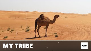 Hard Type Beat - "MY TRIBE" | French Montana Type Beat | Oriental Rap/Trap Instrumental