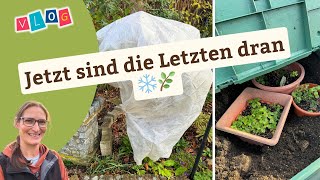 Jetzt Wirds Ernst Frostschutz Für Die Letzten Pflanzen Garten-Vlog