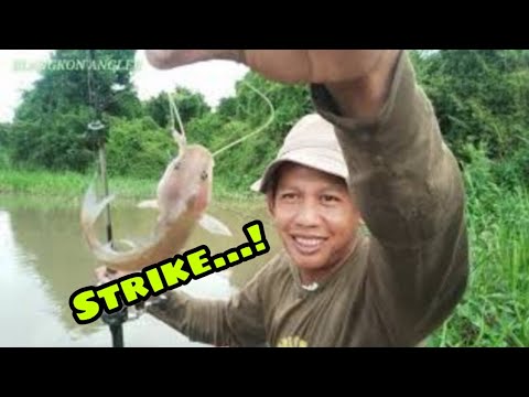 maskot-ikan-air-tawar..pesta-strikee..!