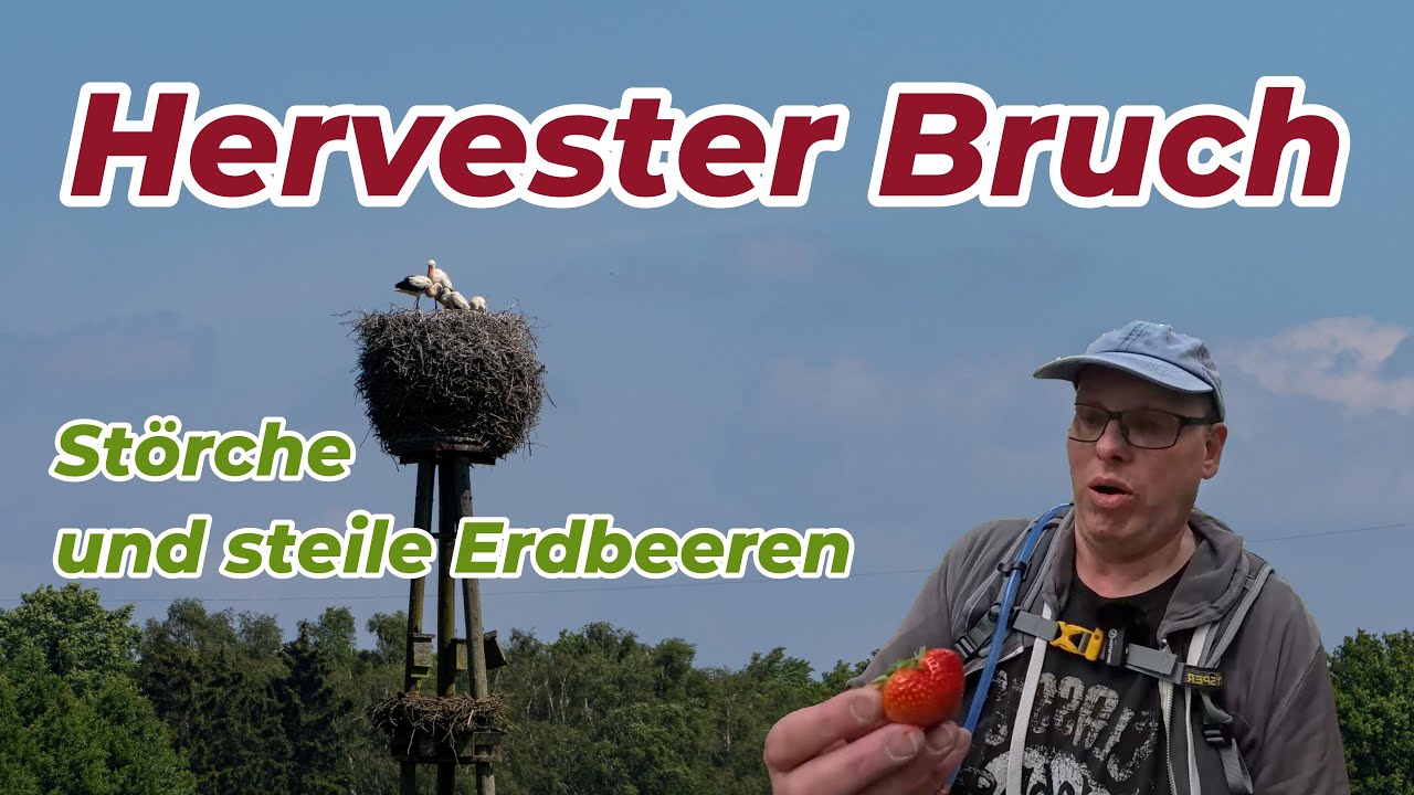 Dorsten Hervester Bruch