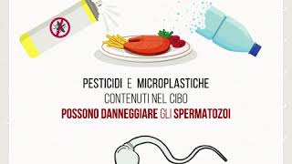 Mauro Saccomanni-21