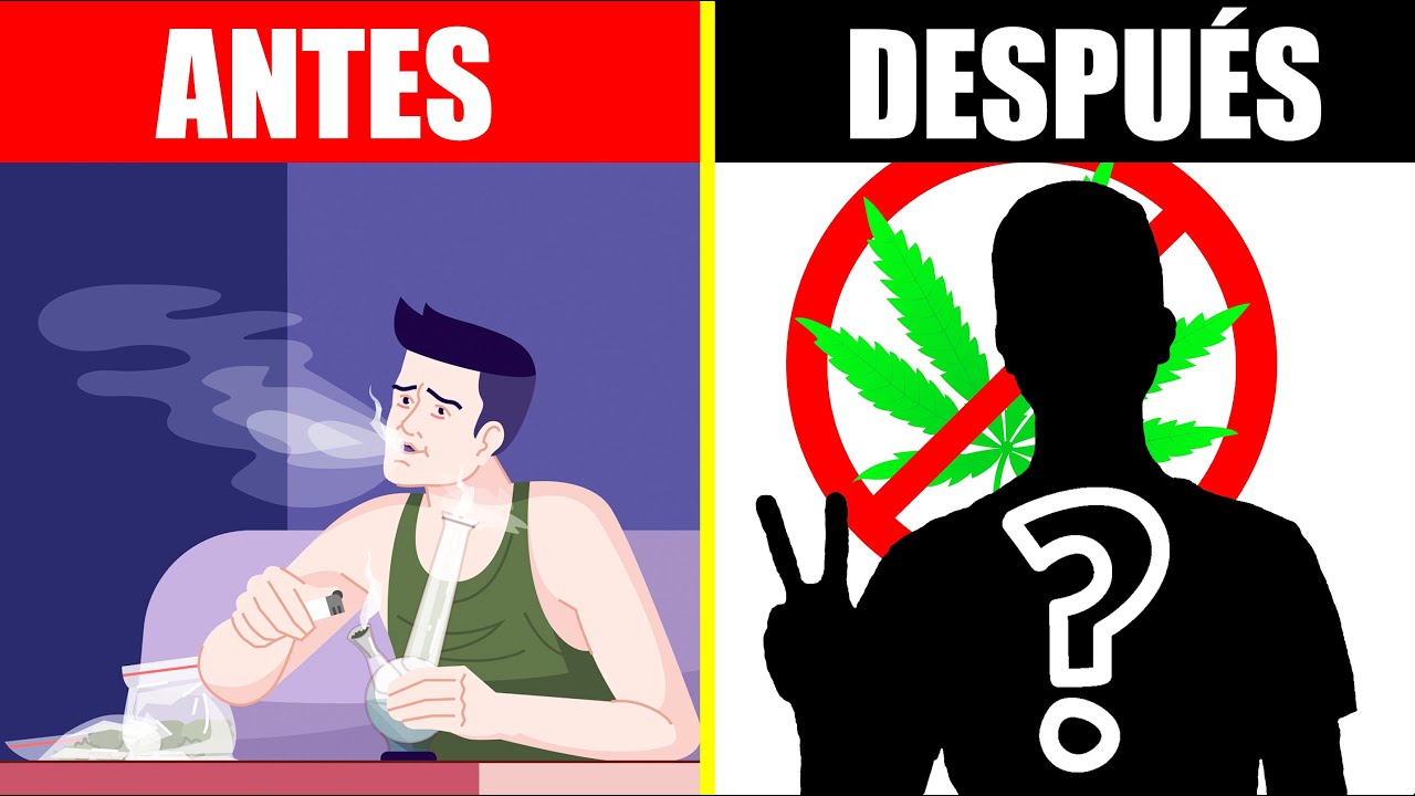 1 AÑO SIN fumar HIERBA 😎 | Weed detox y mi experiencia 🍀