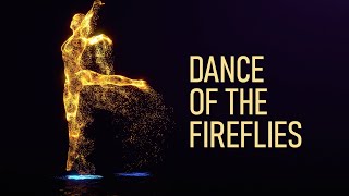 Dance Of The Fireflies
