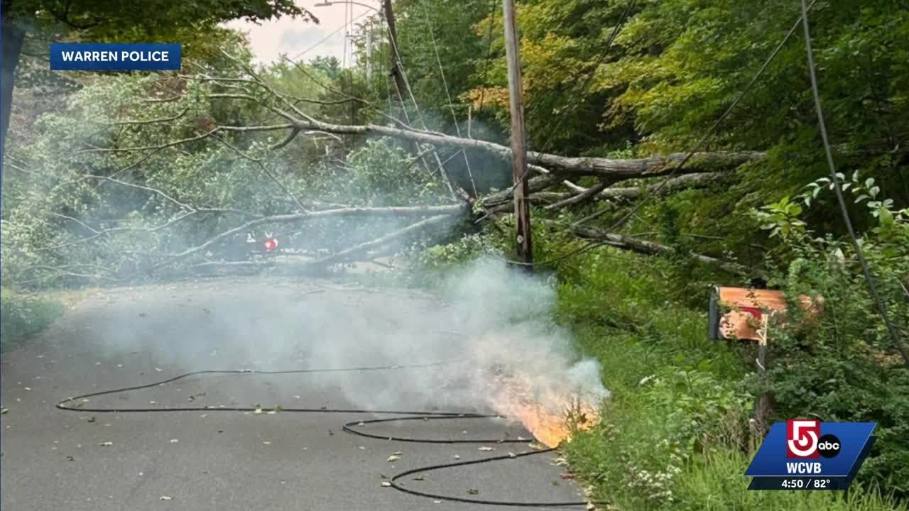 Downed trees, hail as storms move through - YouTube