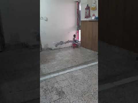 ساره عبدالقادر