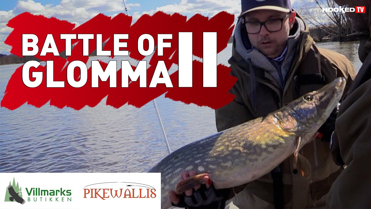 Battle of Glomma II - Gjeddefiske