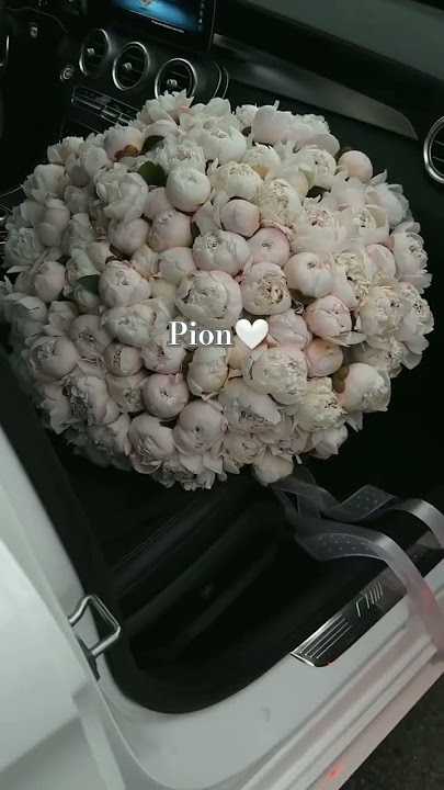 pionni yoqtiradiganlarga jõnatamiz🤍#pion #flowers #like #kament #followme #gullar #bonu