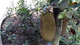 Lembah Tumpang Malang #lembahtumpangmalang
