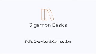 Gigamon Basics: TAPs Overview and How to Connect Them