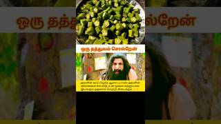 Lady Fingers Leads Active Brains