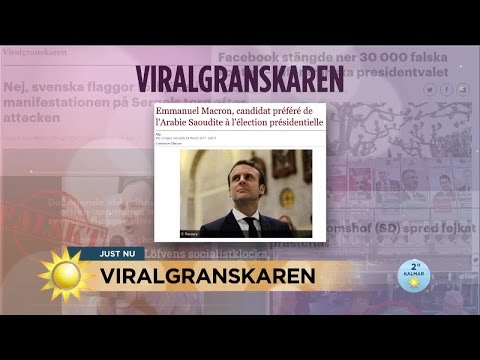 Sexrykten och propaganda – så har falska nyheter påverkat franska valet - Nyhetsmorgon (TV4)