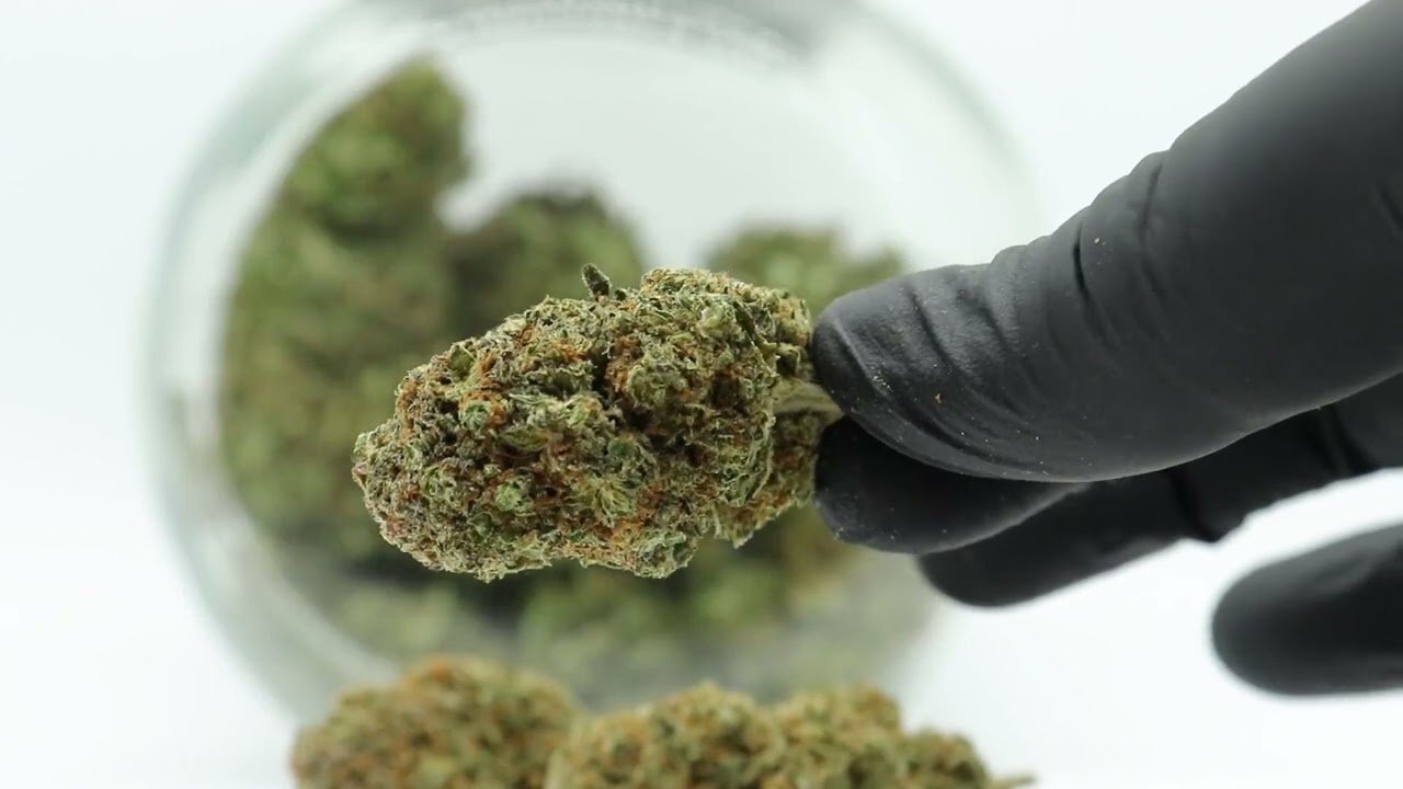 Fleurs de CBD française Strawberry Indoor cbd markets