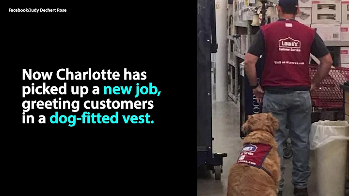 Texas Lowe's Hires Veteran and Service Dog
